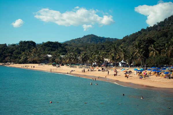 Explorez les trésors urbains grâce à des visites guidées abordables et inoubliables !